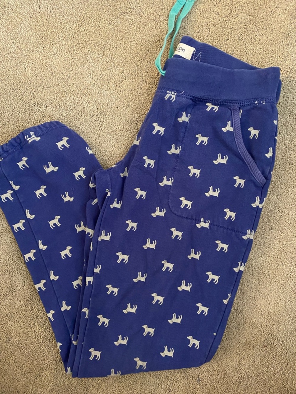 Mini Boden Navy Blue Sweatpants with Teal Accent